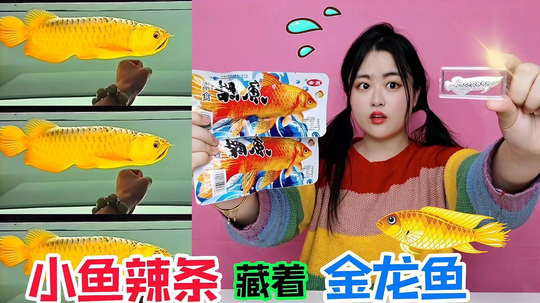 詳細閱讀:金龍魚和金魚能混養嗎? 金龍魚和金魚能混養嗎?